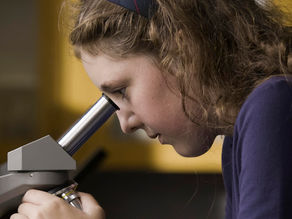 The Independent School Experience 