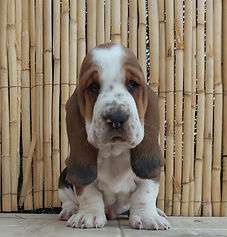 20201006_195731_edited.jpg