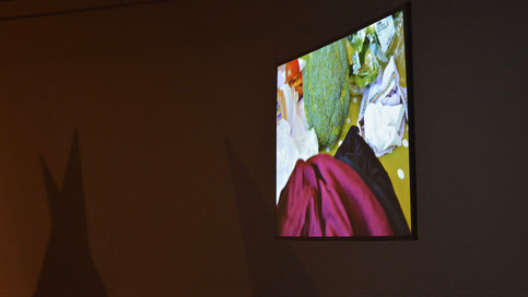 Aideen Barry 2017 presentation.005.jpeg