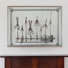 The Symphoney of Scissors