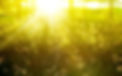 sun2.jpg