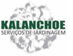 imagem_2024-02-29_182302360.png