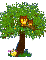 gif arbre hiboux.gif