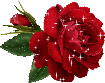 gif rose.gif
