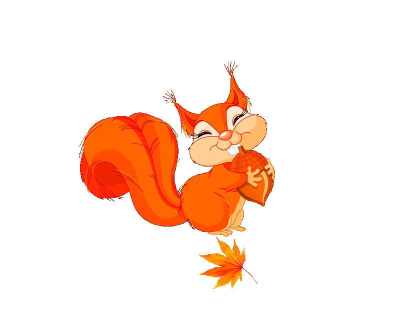gif ecureuil.gif