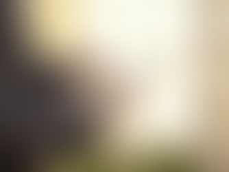 Herramienta electrónica de la STPS facilita a empresas reportar accidentes