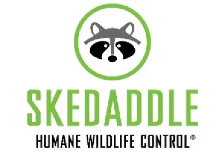 skedaddle