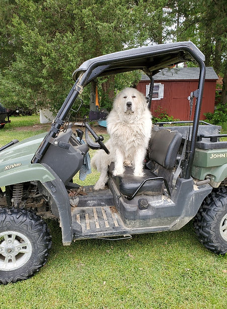 20200427_104523_resized (1).jpg