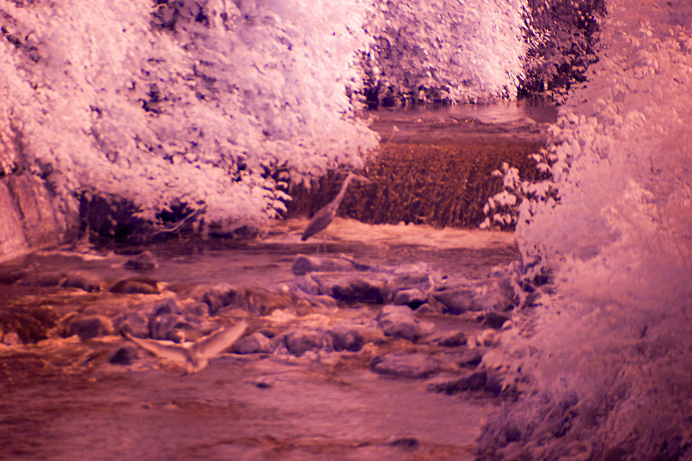 Fiume Sile