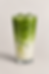 Iced Matcha Latte ²