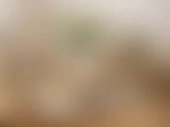 Nachhaltige Tischdeko mit Keramik gestalten