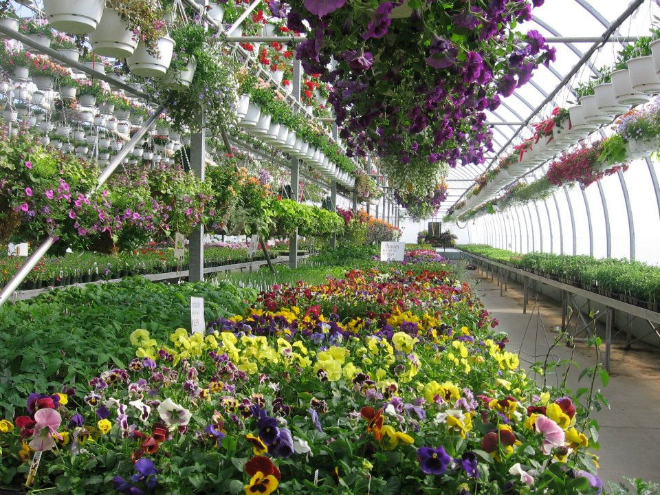Garden Center Patio Gardens