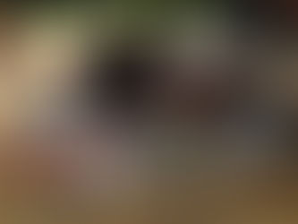 Test : Produits énergétiques NUTRISENS SPORT