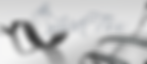 Silver Fox Films Logo_edited.png