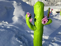 2024.FINEAS.TRAVIS.SOMETHING.WHERE.IT.SHOULDN'T.BE.MICHAEL.CROSS (2).jpeg