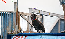 IMG_3099_edited.jpg