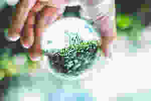Image courtesy of Pexels