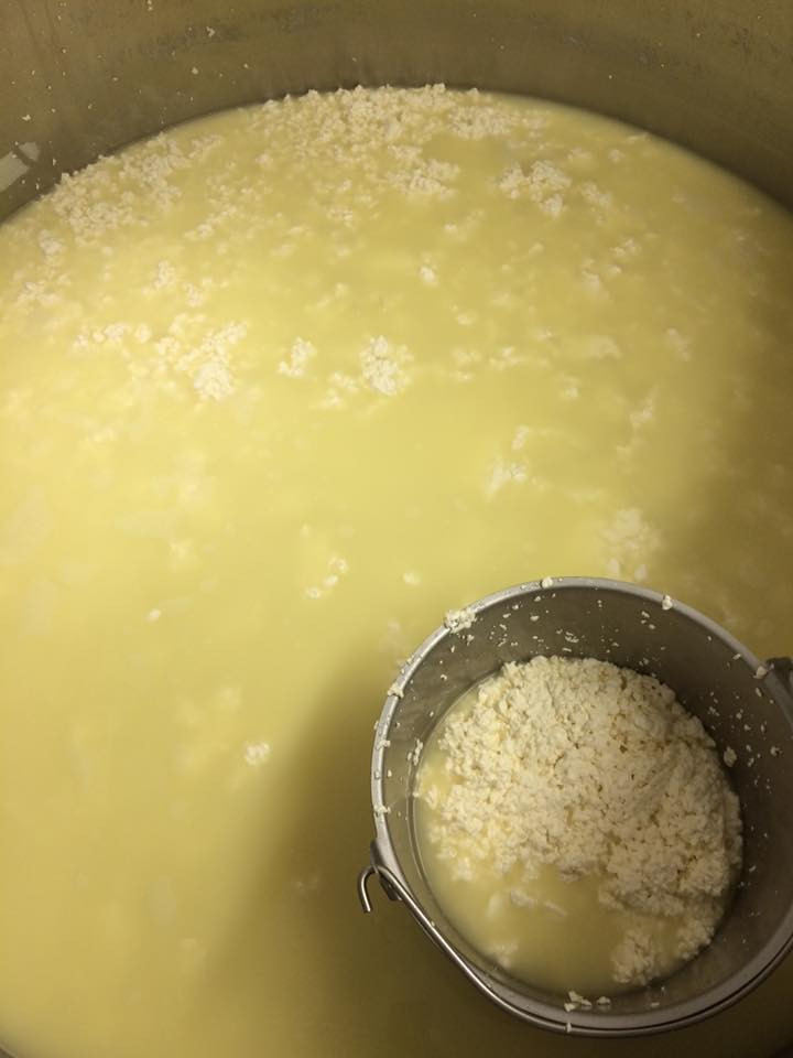 Blue Jacket Dairy