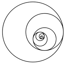 logo mami.png