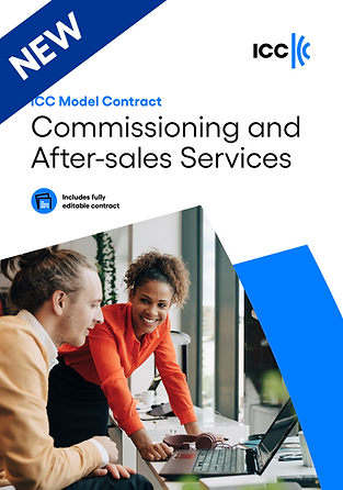 Commissioning and After Sales (1).png
