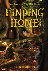 FINDING HOME BOOK COVER
