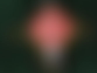 Young girl in a picture frame Fobbie for holiday gift wrapping.