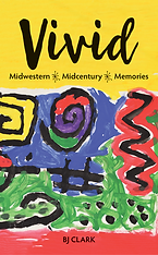 VIVID BOOK COVER