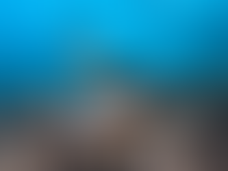 Which Honolulu Boat Tour Is Best for You? A Local Guide to Choosing the Right Experience