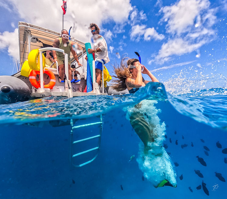 Honolulu Boat Charters - turtle snorkeling, whale watching, private charters 23.JPG