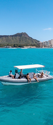 Honolulu Boat Charters - turtle snorkeling, whale watching, private charters1.jpg