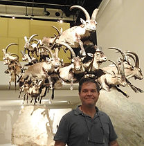 foto de Paulo Auricchio e taxidermia