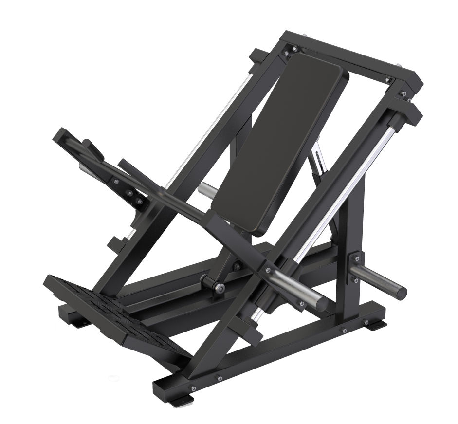 Linear row machine to hit back and do deadlifts