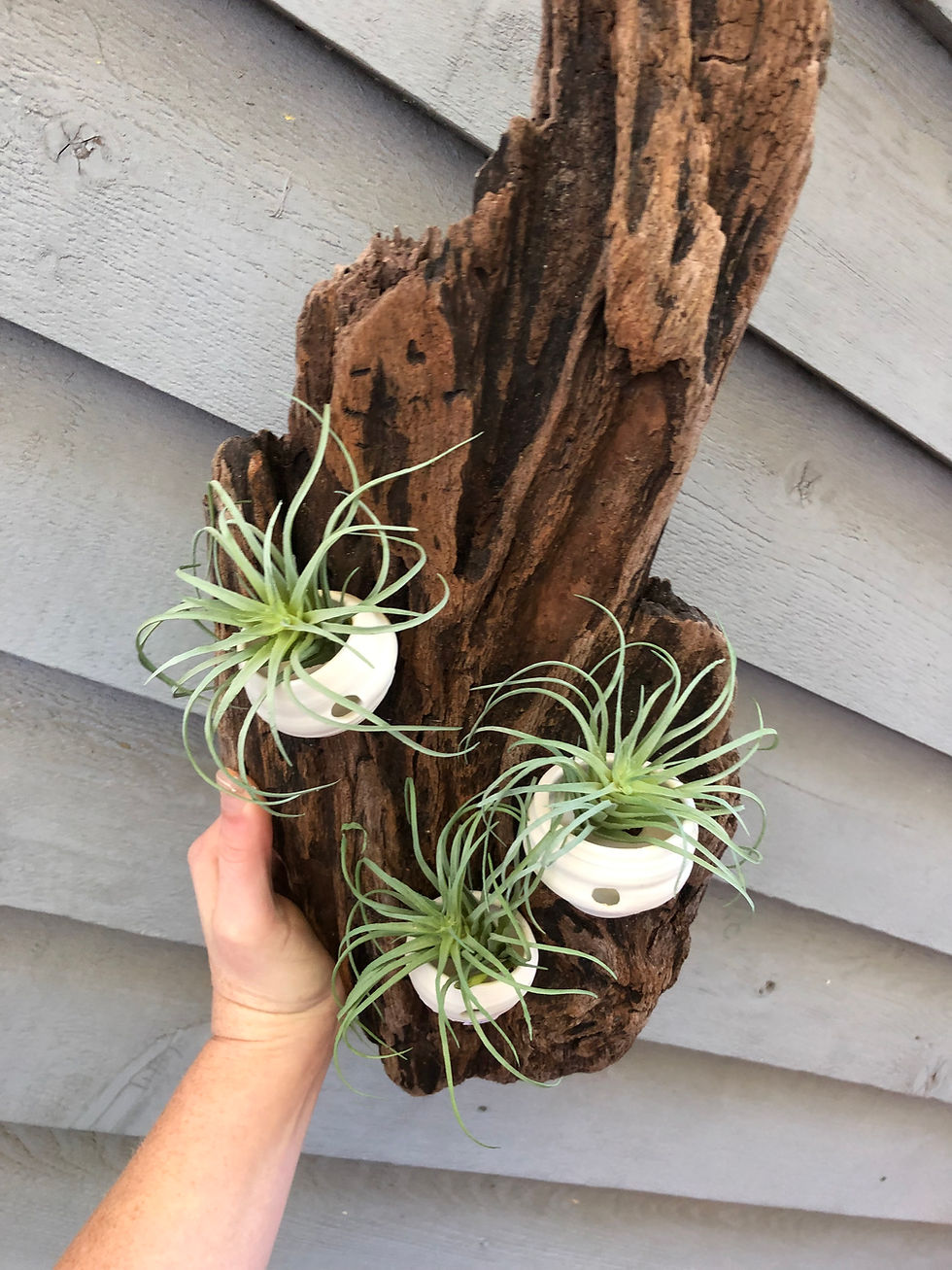 Thumbnail: Driftwood Hanging Piece #2