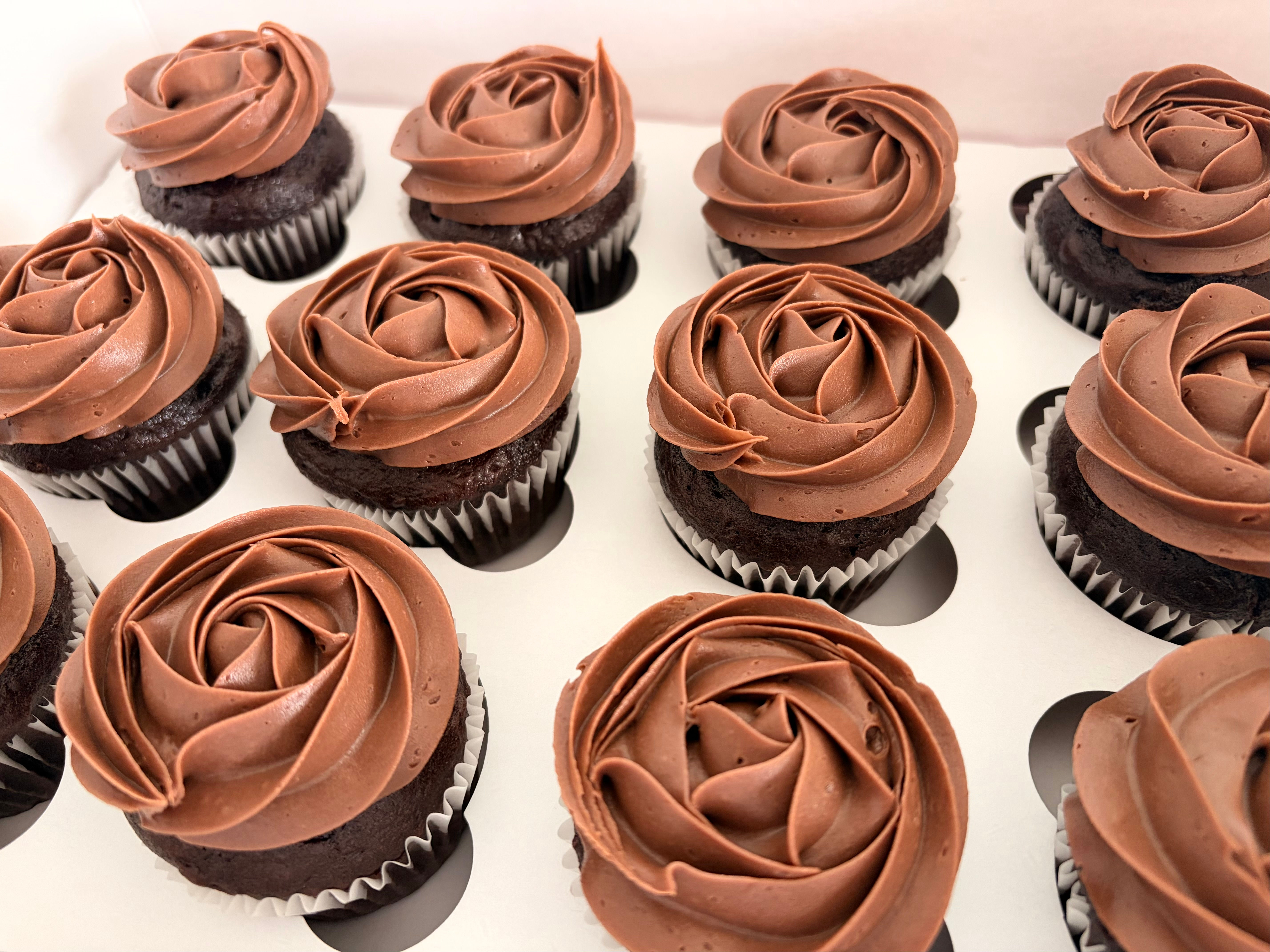 Double Chocolate Cupcakes