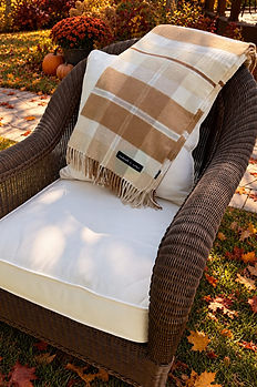chair-blanket-fall-scene-final_edited.jpg