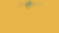 Website Background ZC-2.2.jpg