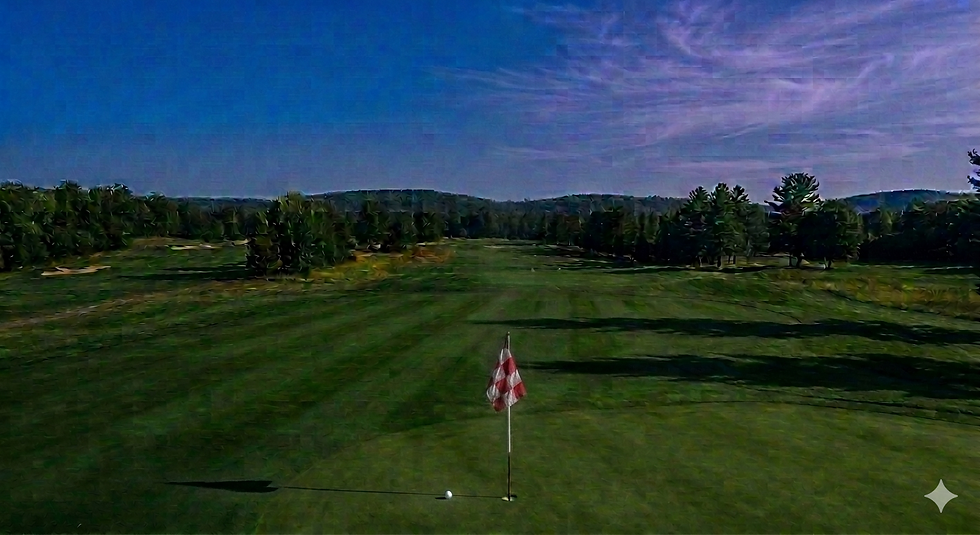 image_32197d3e.png