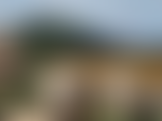 Development Log #12