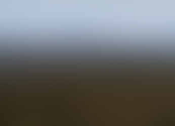 Development Log #49