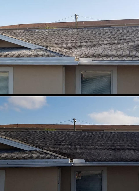 Roof Cleaning