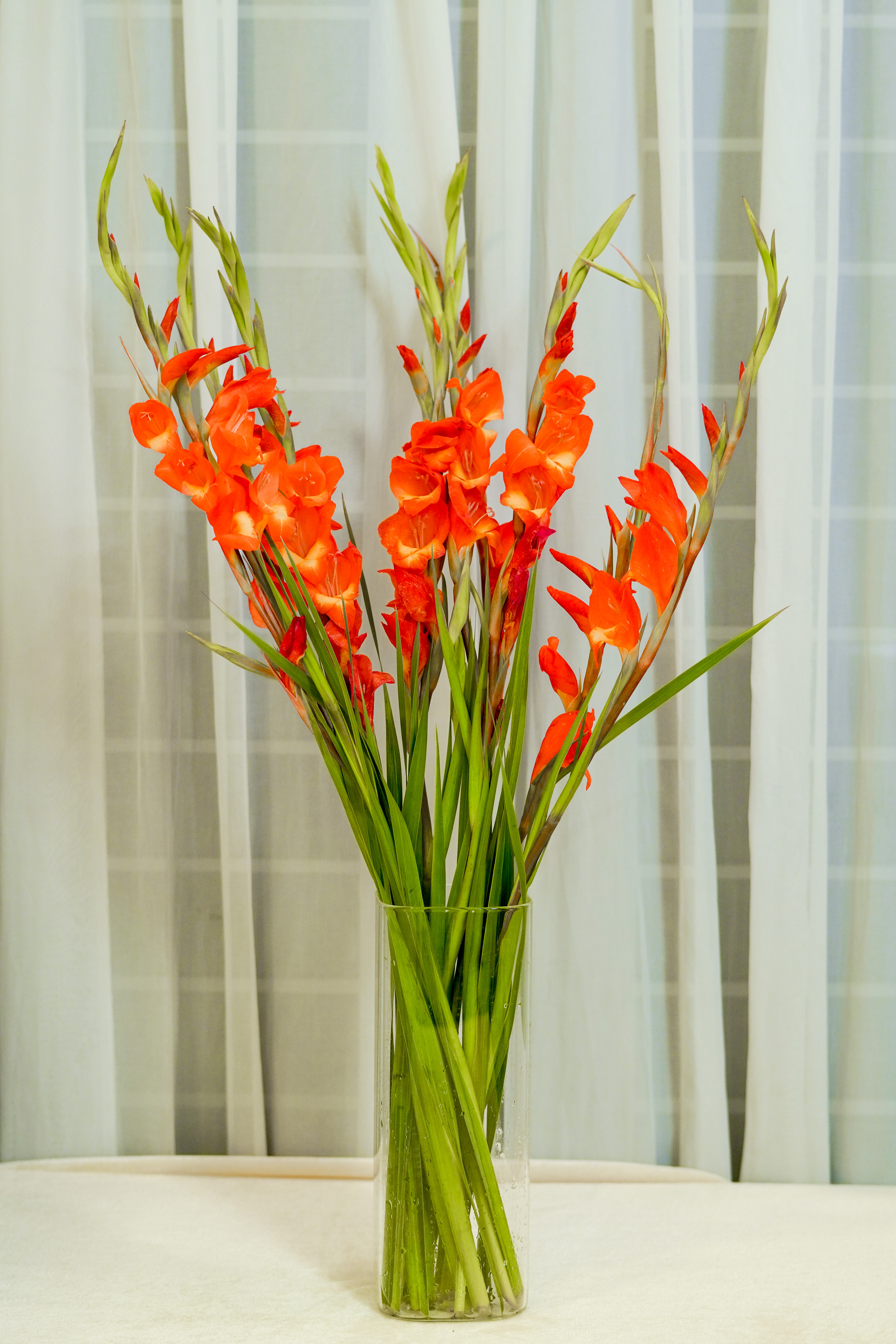 Weekly Corporate Blooms Plan