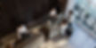 hote-video-surveillance-600x300-1