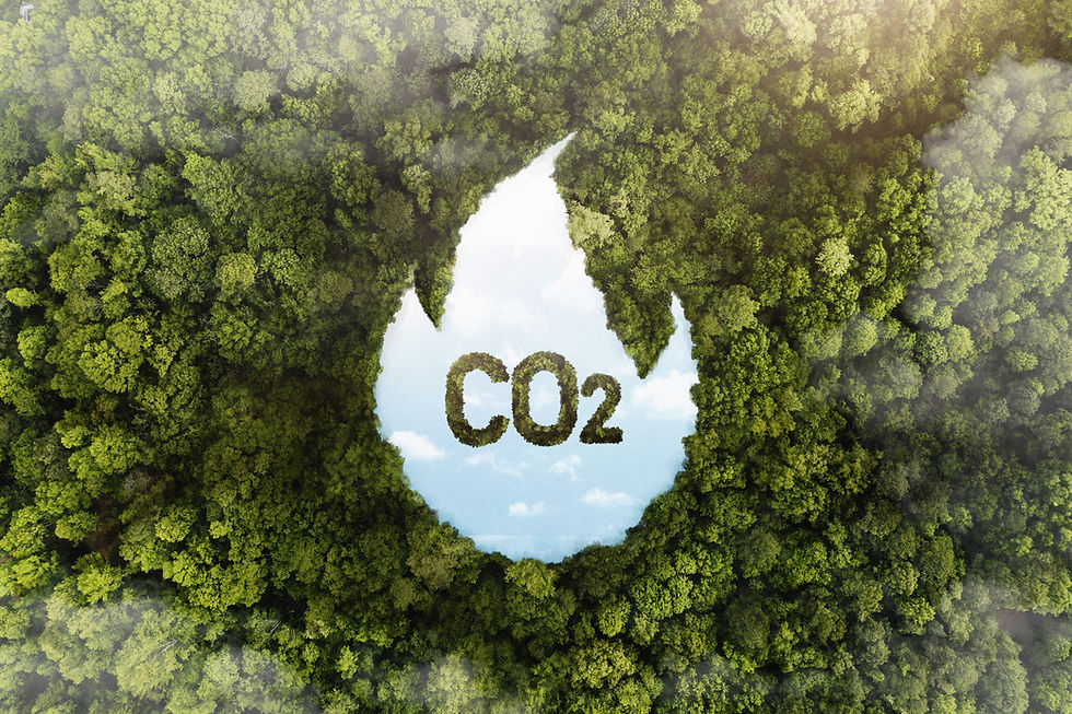 greenhouse gas (GHG)