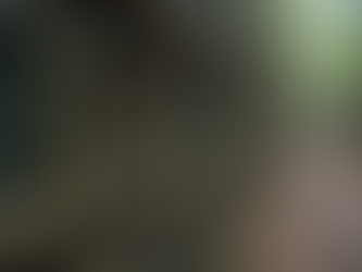 Top Wildlife Rescue Equipment for India