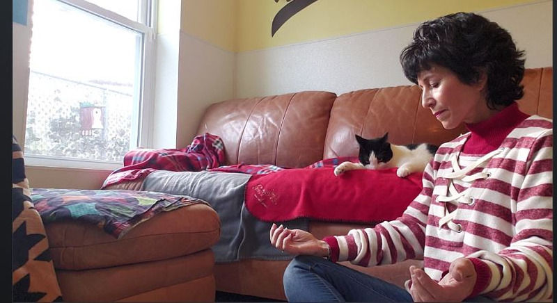 Inky the cat loves Animal Reiki Energy