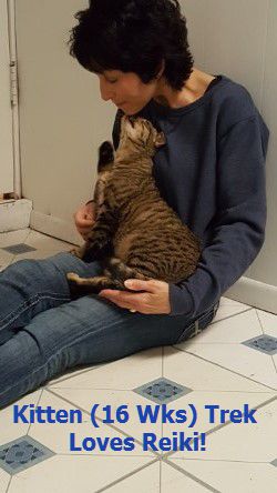 TrekLovesReiki