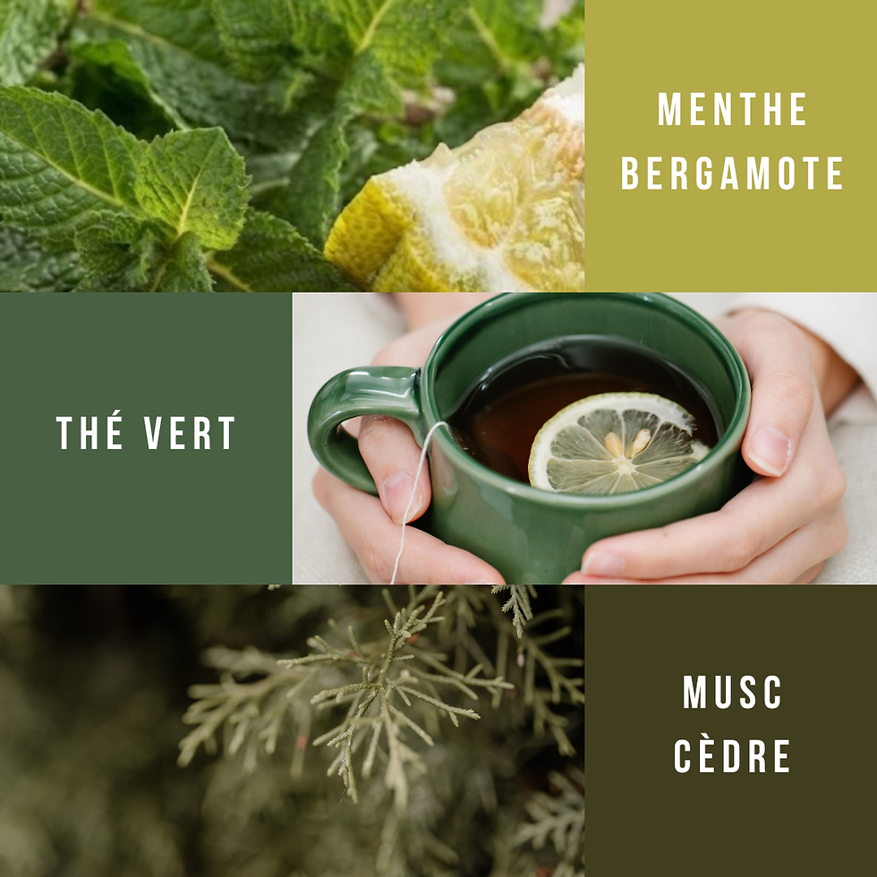 Pyramide olfactive du fondant Thé Vert : menthe, bergamote, thé vert, musc et cèdre.