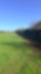 IMG_5414.jpeg