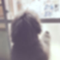 IMG_9457.jpeg