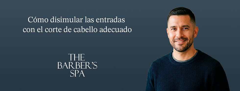 Disimular las entradas